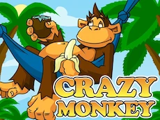Crazy Monkey game preview